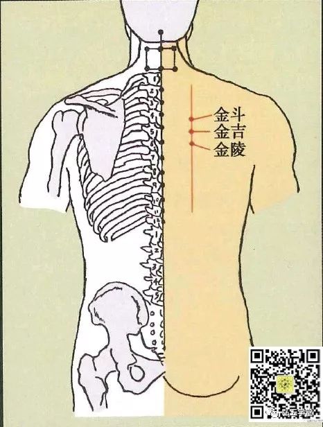 董氏奇穴精要 第十二章背部穴位 三金穴 宏五学堂 微信公众号文章阅读 Wemp