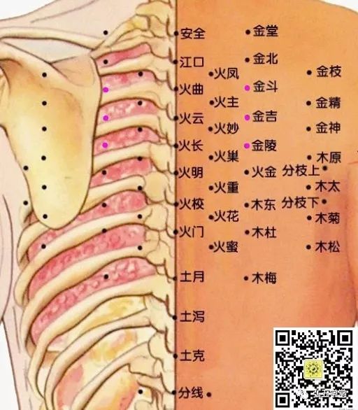 董氏奇穴精要 第十二章背部穴位 三金穴 宏五学堂 微信公众号文章阅读 Wemp