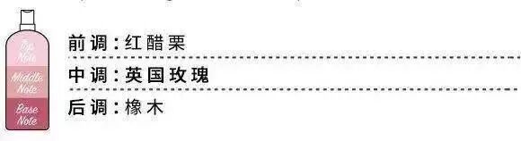這些百元居家好物，把我變成了生活智障！ 家居 第21張
