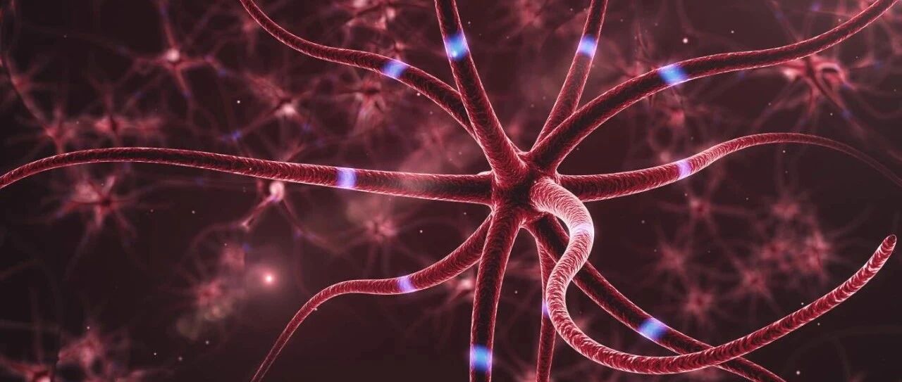 SSRI为何缺乏线性量效关系？来自5-HT1A自受体的一种解释 | 专家视角