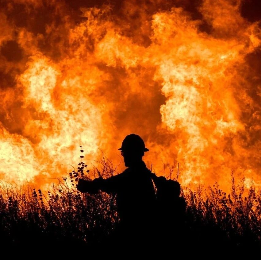 浅谈氟哌啶醇联合异丙嗪肌注控制激越的疗效 | 文献述评