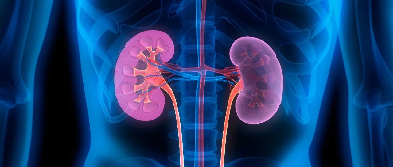 长期使用锂盐有多「伤肾」？——患病率及影响因素 | 研究速递