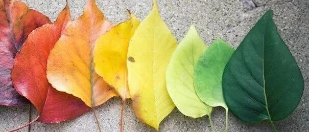 简洁实用版：迟发性运动障碍的七大防治措施 | 临床必备