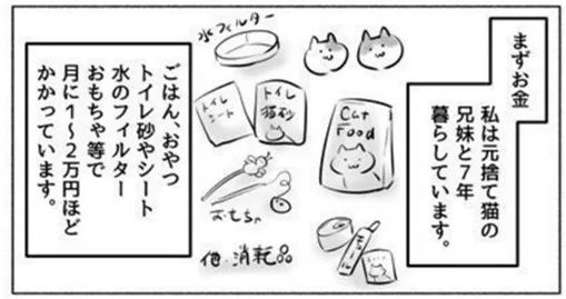 铲屎官们看过来 猫奴血泪史 日本漫画家亲授经验 养猫竟然 日语学习微信公众号文章