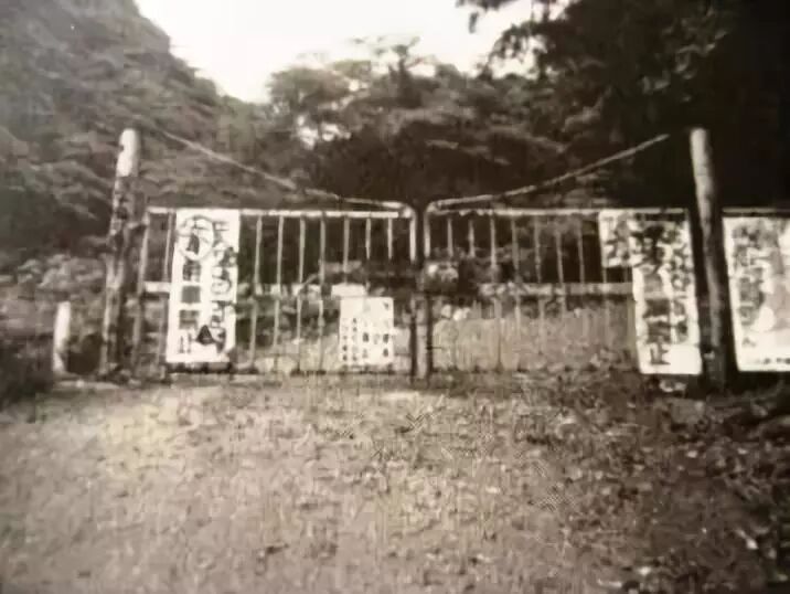 日本最凶灵异之地 犬鸣村 电影化 恐怖大师清水崇执导 日语学习 微信公众号文章阅读 Wemp