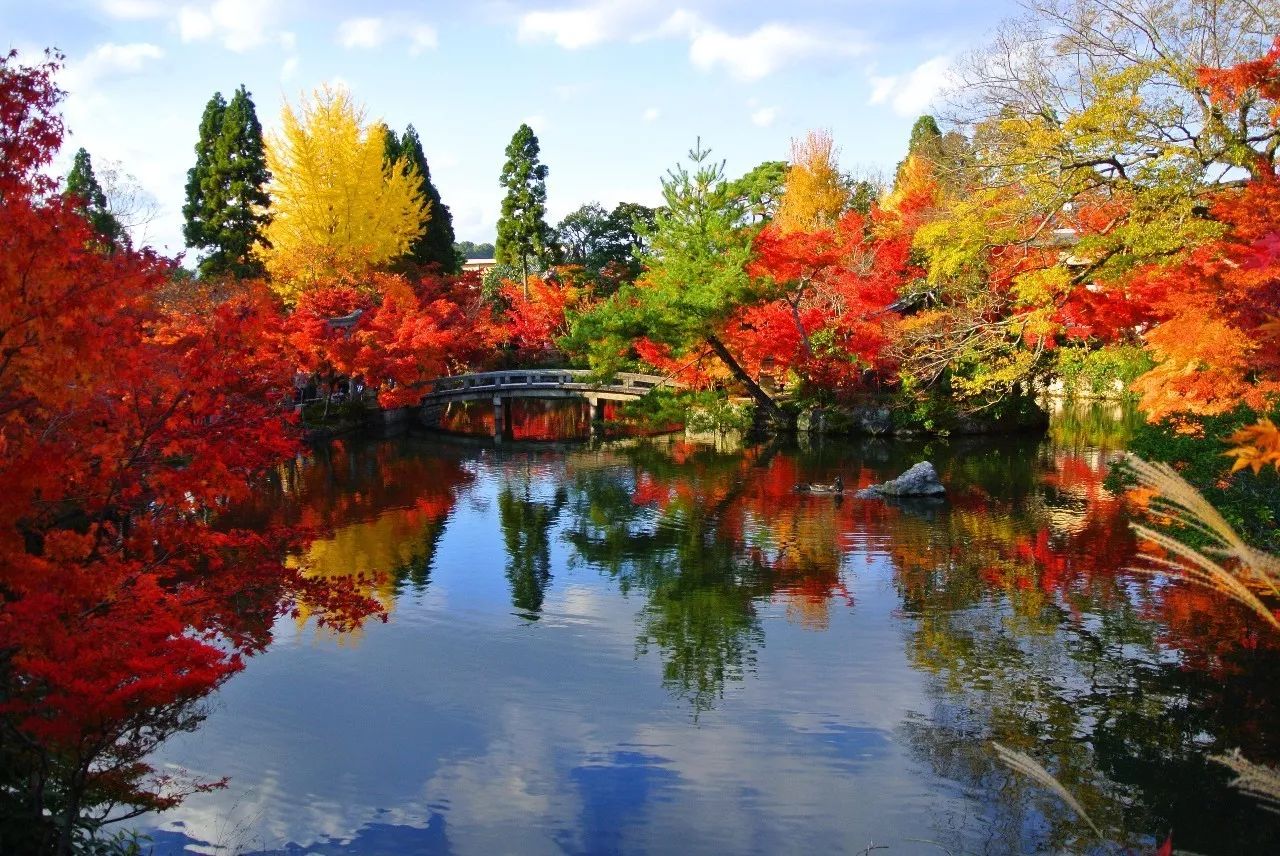 秋季日本賞紅葉去哪兒好 當然是美到窒息的京都 日語學習 微文庫