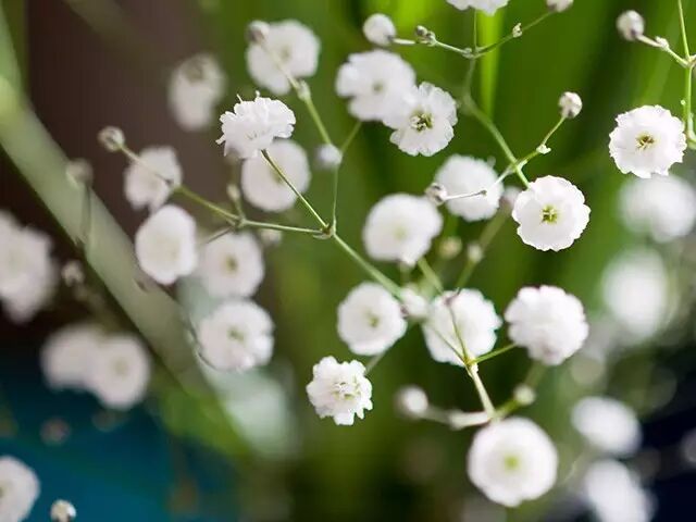 如果召開 日語詩詞大會 哪些作品會成為考題 日語學習 微文庫