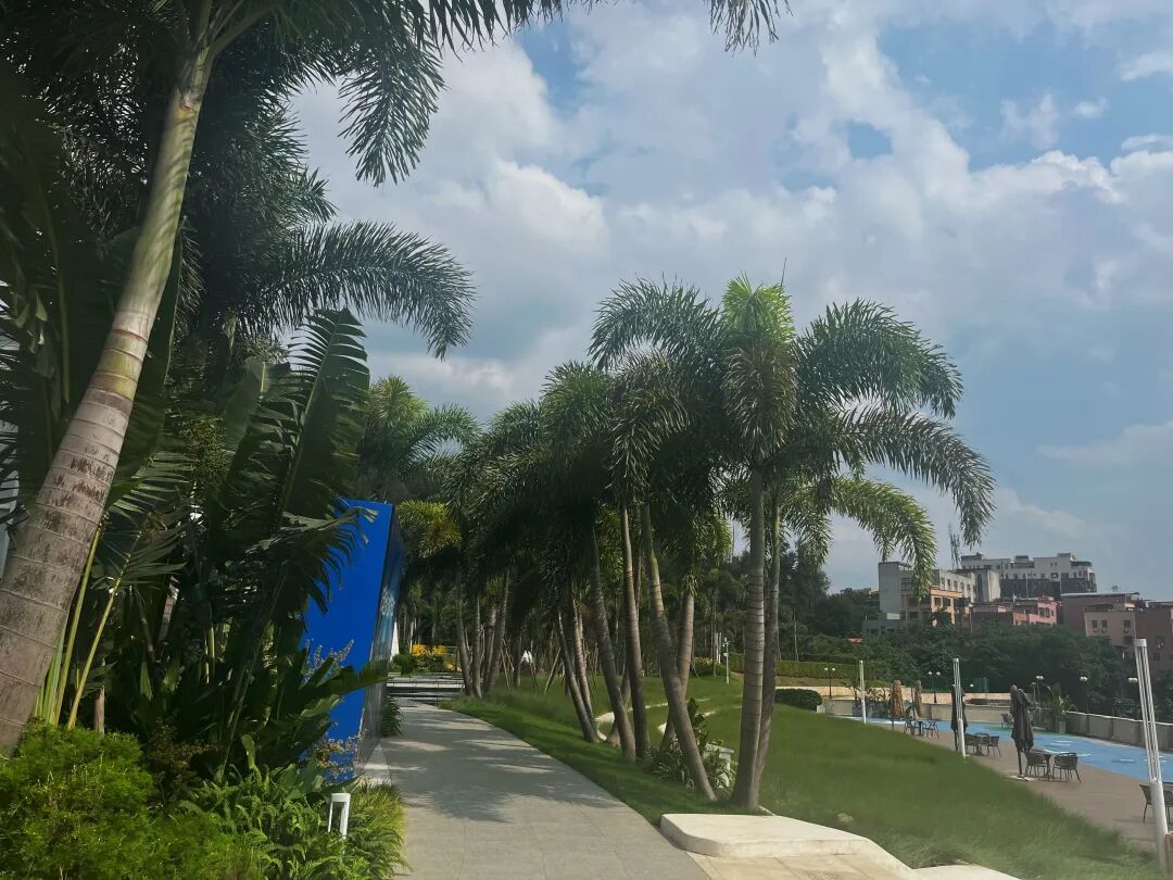 白云珠江右岸优缺点分析！值不值得买？