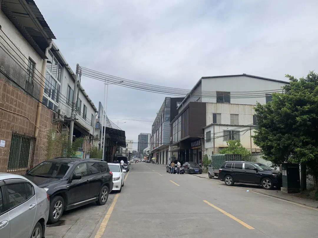 番禺新盘绿城项目来了！会买多少钱一平？