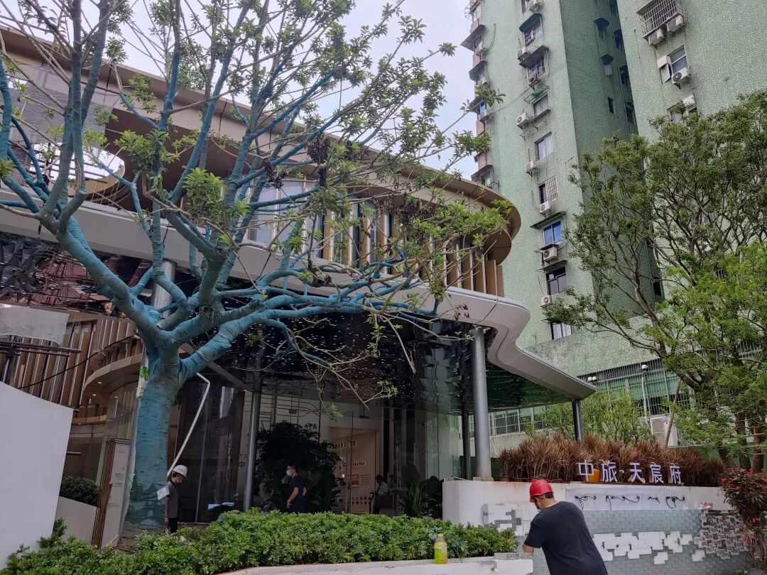 海珠中旅天宸府82㎡~122㎡，最新价格是多少？