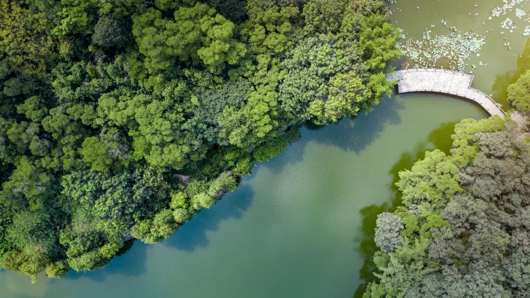 盘点广州在售楼盘总价450万可以买三房！