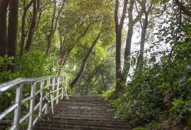 黄埔富力新城*新房价，*付66万！学府+现房