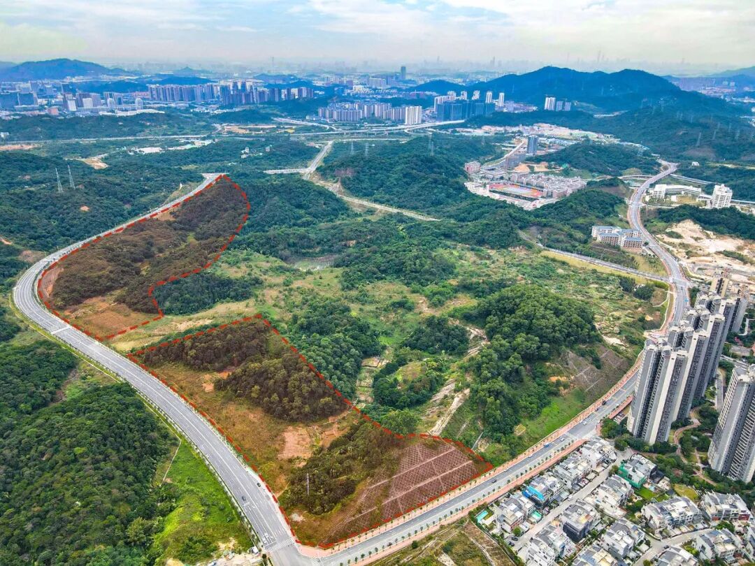 黄埔长岭雅居全新8栋、9栋的建面约160-190㎡大平层