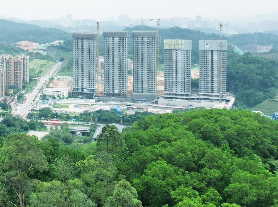 知识城开控城投云锦约183平大平层，值得买！