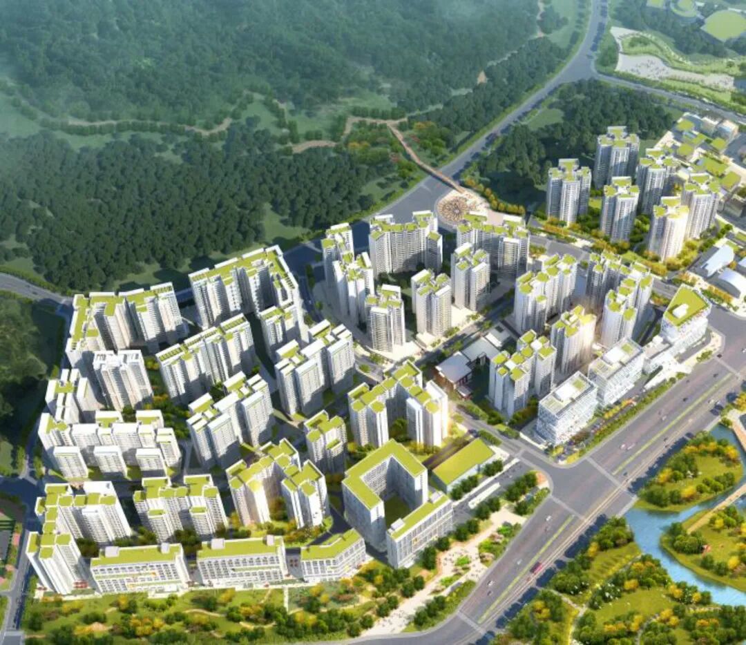 “认房不认贷”落地，广州买房，保利哪些楼盘更值得买？