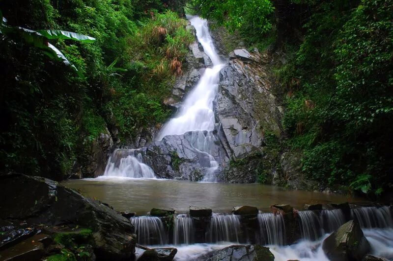 山茶莊園皇后山茶莊園位於距連山縣城禾洞鎮的皇后山上園區海拔800米