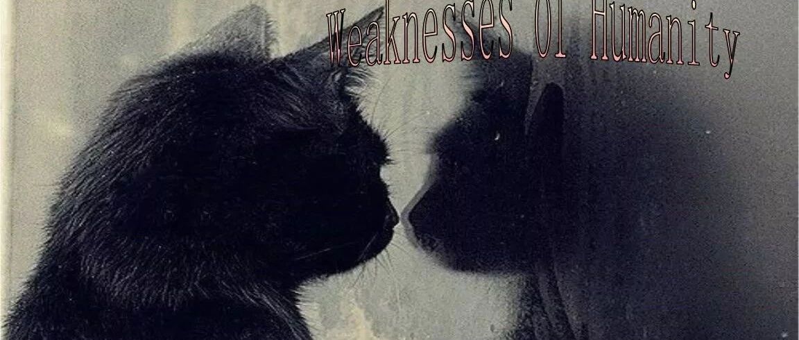 人性的弱点｜ 她总