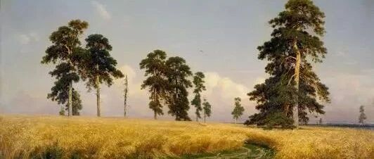 春节返乡奇遇记｜她总