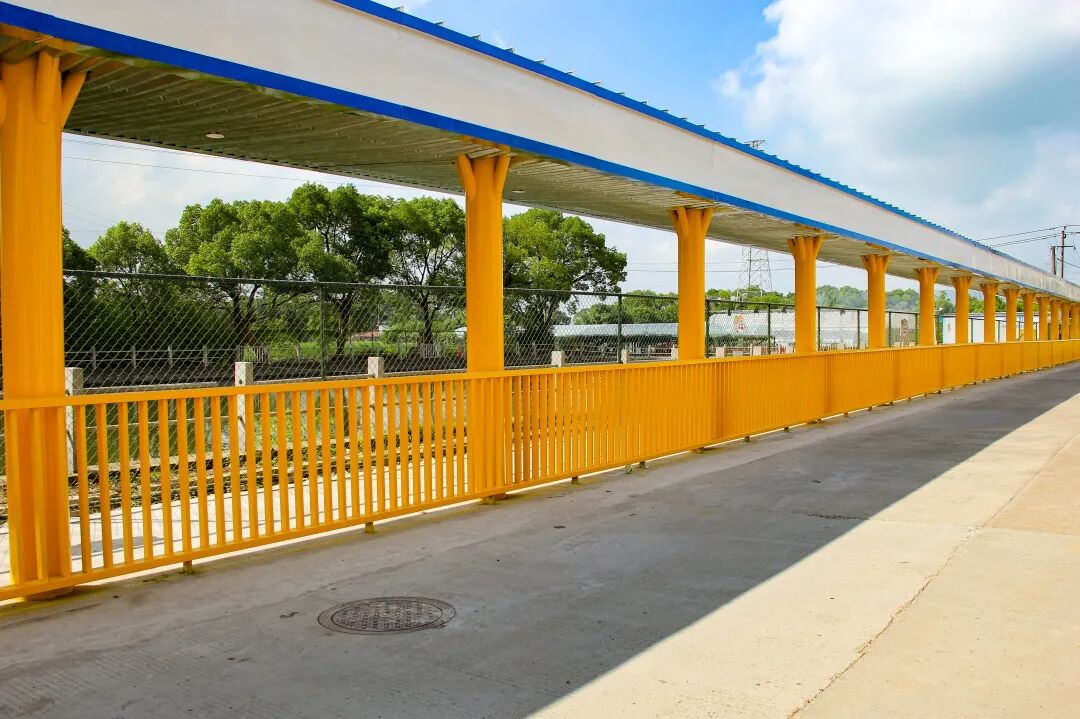 一校一景九龙湖多了两条最美上学路