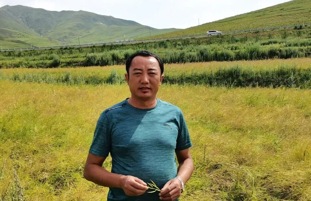 首页>看甘肃>正文>卓尼县阿子滩镇党委书记  杨完么产业振兴是乡村