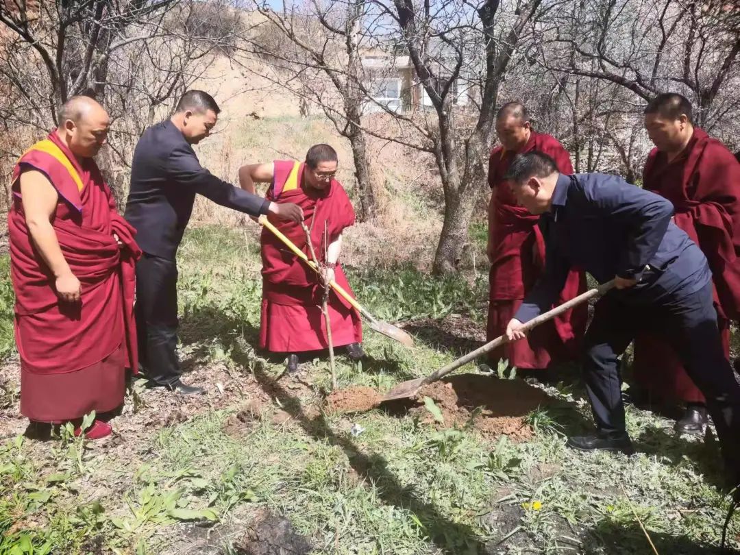 期間,考察團一行還到楊土司革命紀念館參觀學習,並與卓尼縣共同栽下