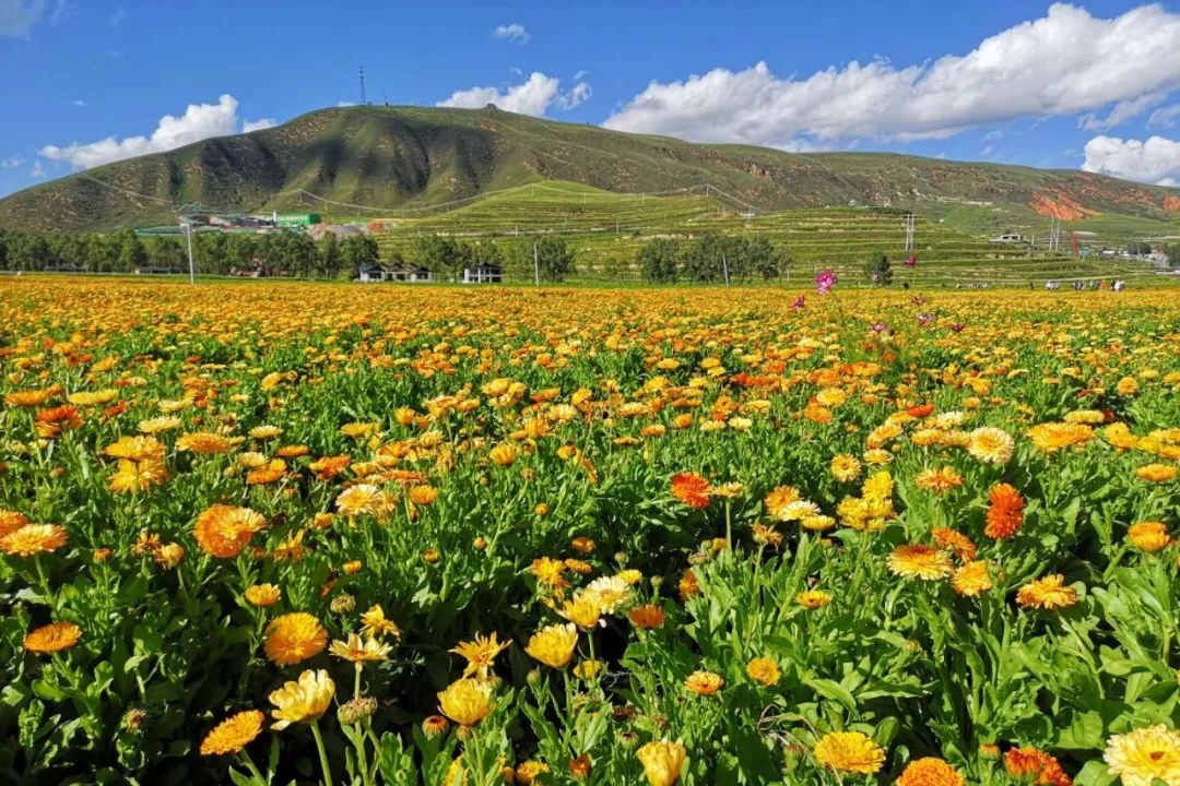 源遠流長美在洮河水美在大峪溝青山綠水,碧波粼粼卓尼縣康縣陽壩鎮