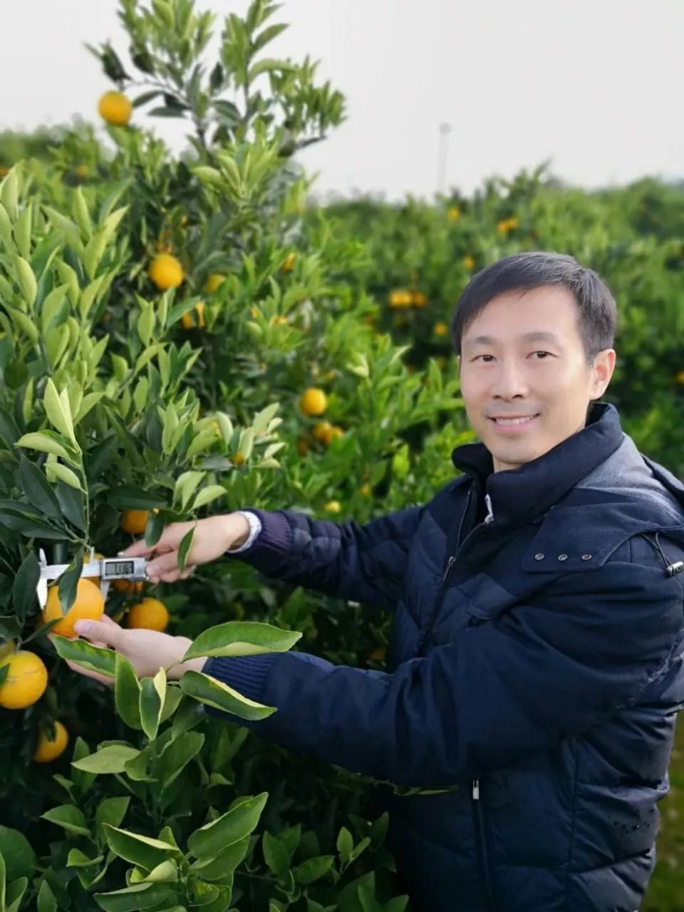 乡医致富经_村医致富经小说阅读_村医致富经