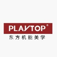 PLAYTOP标识