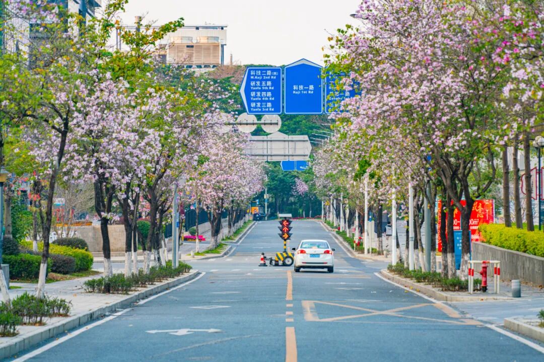 微信图片_20230302090354.jpg
