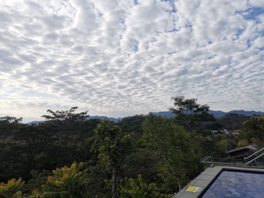 年会回顾  第4张