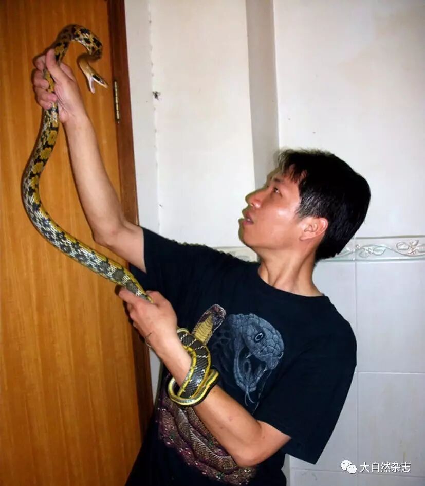 捕蛇者新说——广州市蛇类救助小记