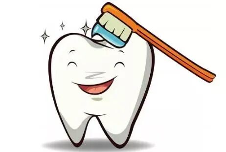 ems洁牙尖怎么分全功能牙周“机王”，带给您不一样的洗牙体验_https://www.jmylbn.com_新闻资讯_第4张