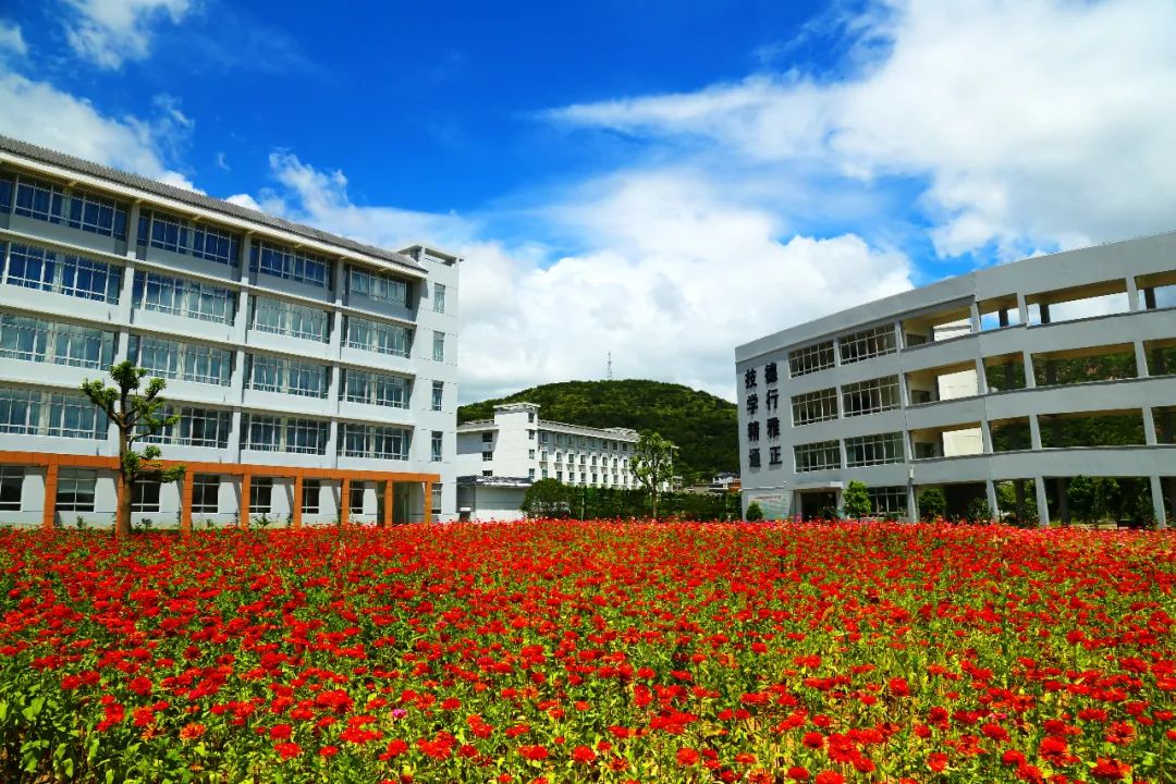 雁荡山旅游学校航空图片