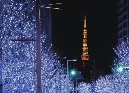 新闻详情 育英学堂