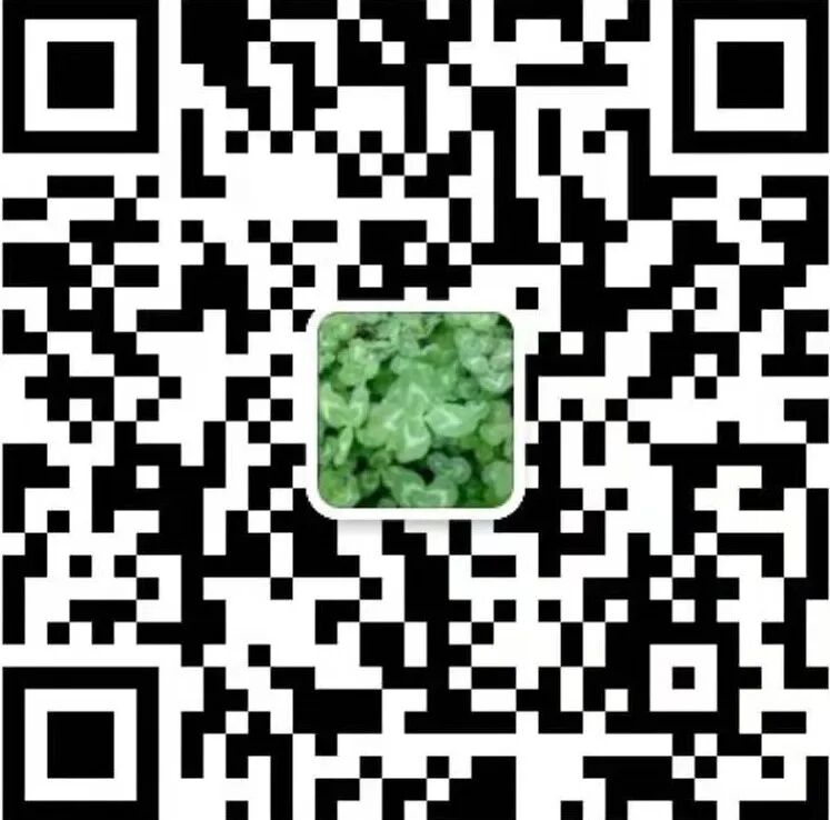 4019985356862526841.jpg
