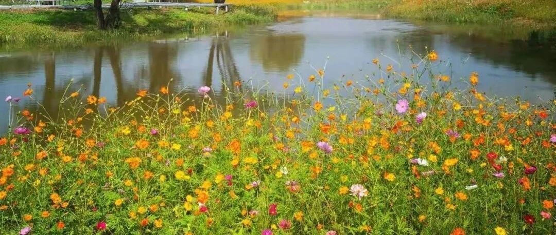 沈阳棋盘山“上新”了！这个假期，必须再去一次！
