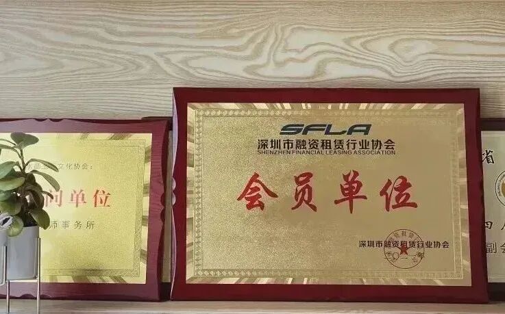 融资租赁企业合规 | 公司风险管理制度