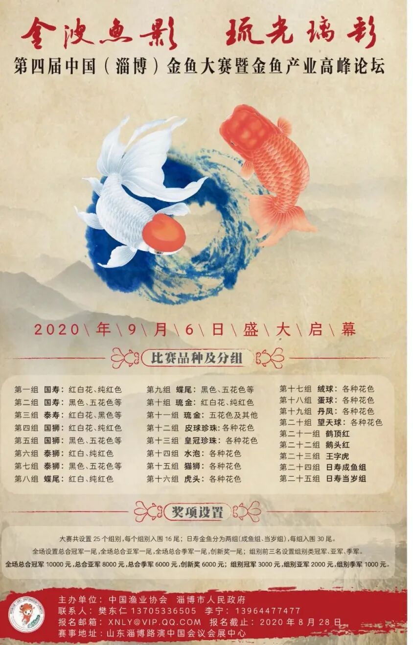 金鱼集聚“斗美”，你最中意那一条？