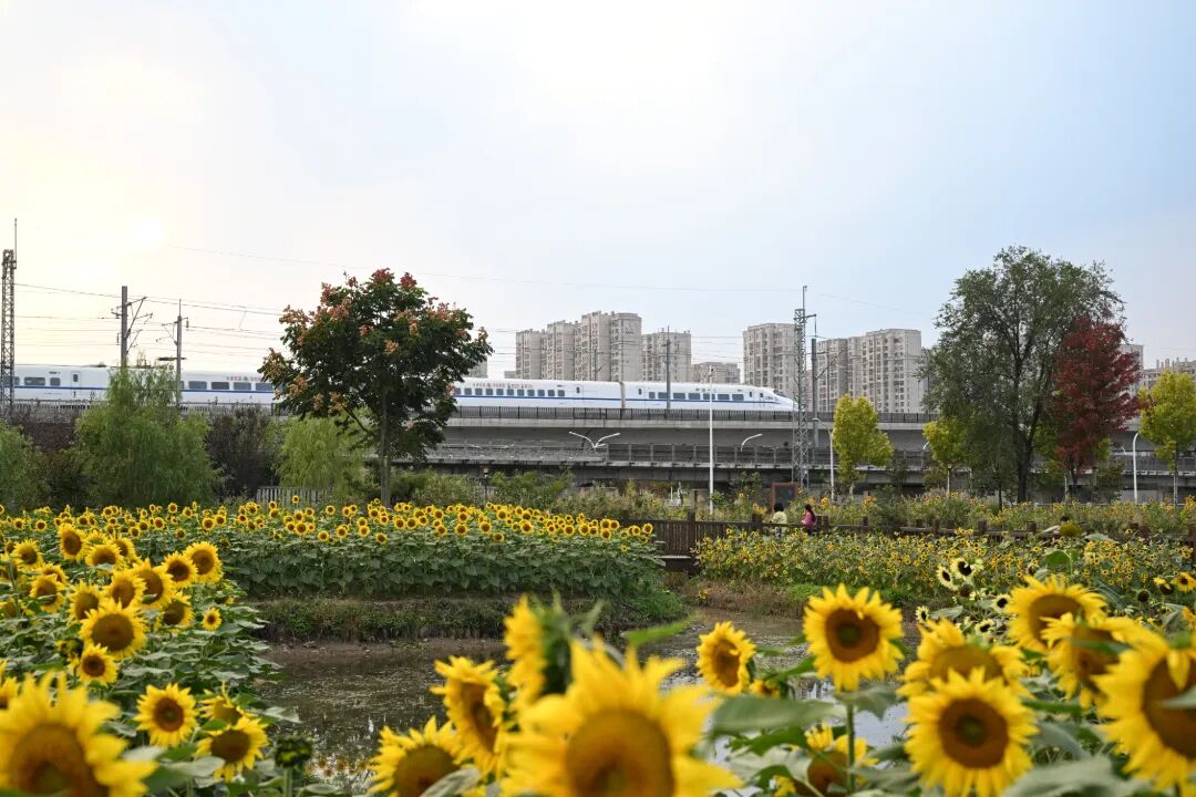 微信图片_20261010171221_4022_9.jpg
