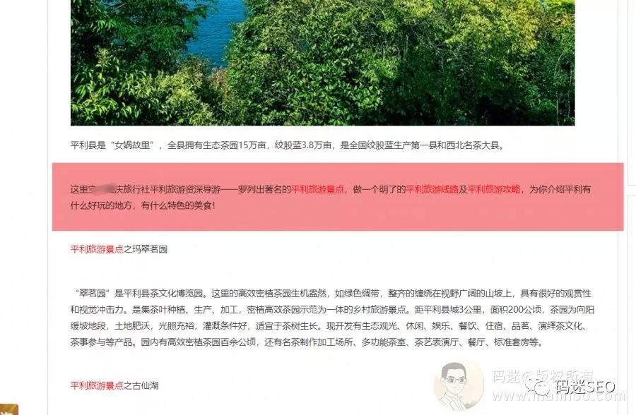 重庆网站seo方法_重庆seo网站管理_重庆公司网站seo