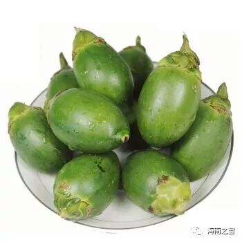 海南槟榔妹_槟榔妹狗_槟榔妹