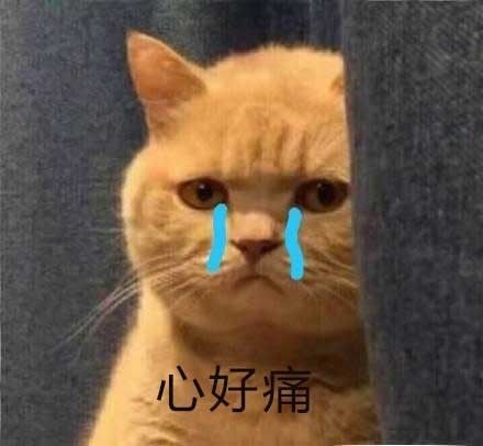 五洲会全球购：蛙笑神助攻，助其一夜之间遍地开花