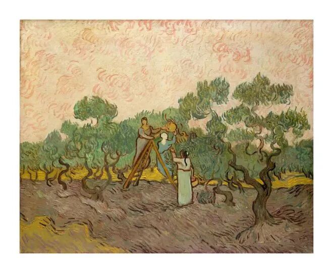 【创艺文化和韵轩周报】2021.9.13