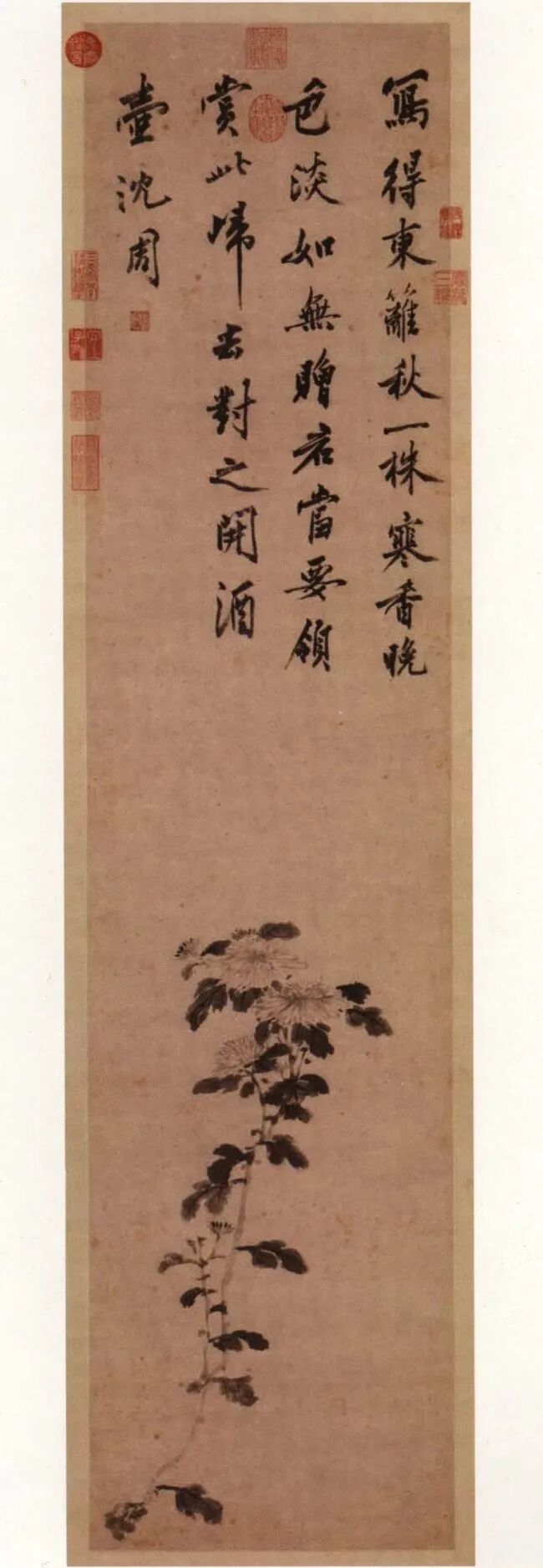 创艺文化和韵轩周报2020.12.7