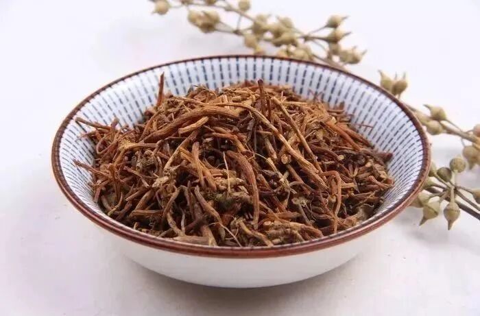 “脂溢性脱发”治验心得