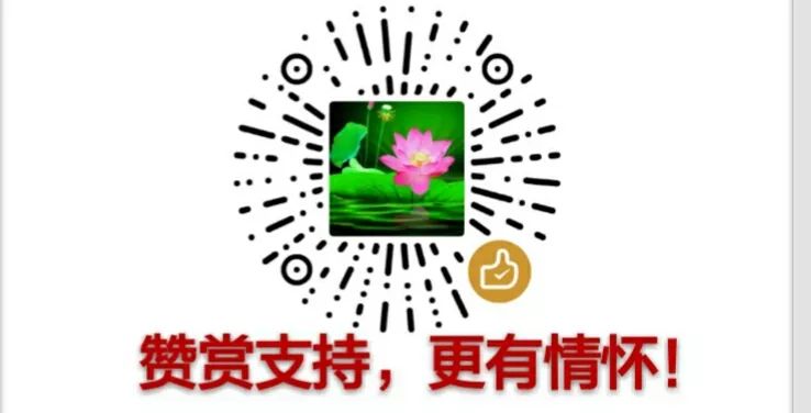 养父的花样年华剧情介绍