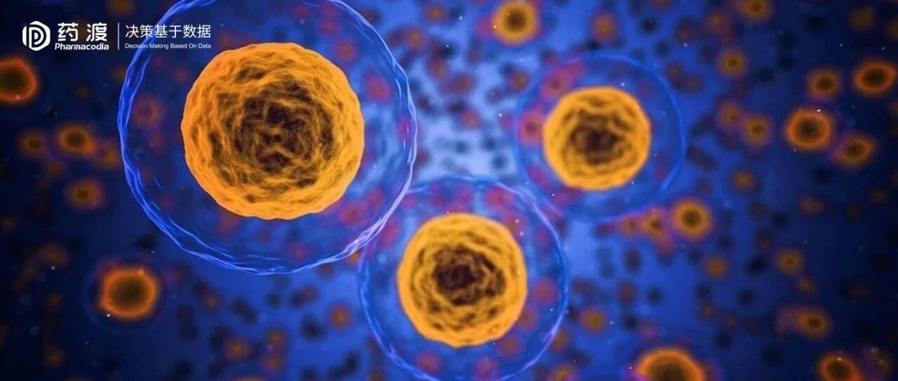 2024-05-24药事资讯