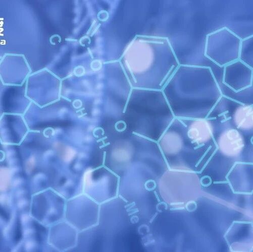 2024-08-25药事资讯