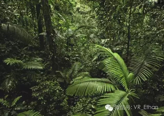 「Photolemur」AI结合图片处理，Mac版本开放下载