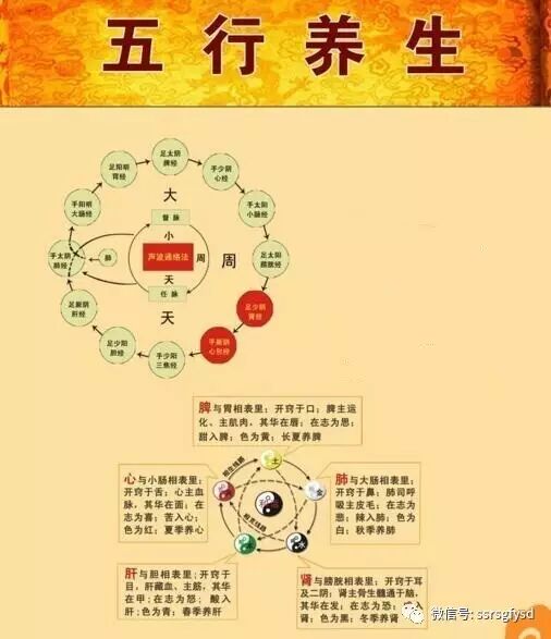 原始点温热饮食 五行养生粥 上善若水原始点 微信公众号文章阅读 Wemp